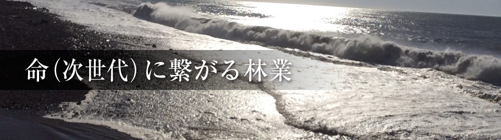命（次世代）に繋がる林業