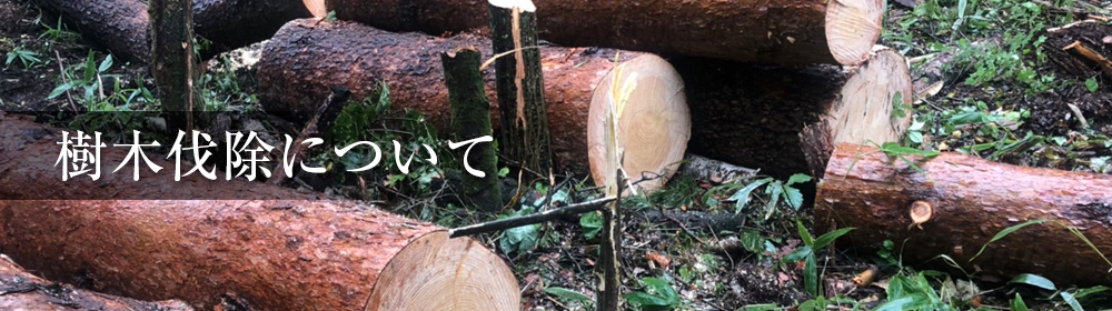 樹木伐除について